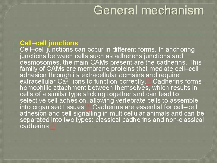 General mechanism � � Cell–cell junctions can occur in different forms. In anchoring junctions