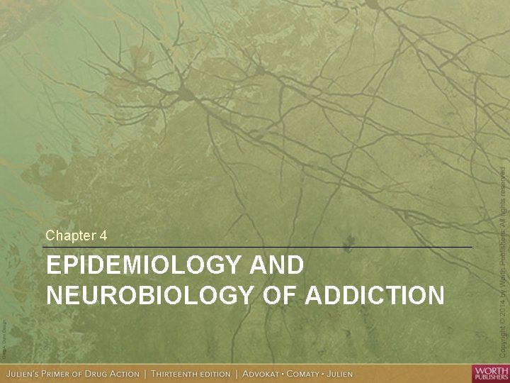 Chapter 4 EPIDEMIOLOGY AND NEUROBIOLOGY OF ADDICTION 