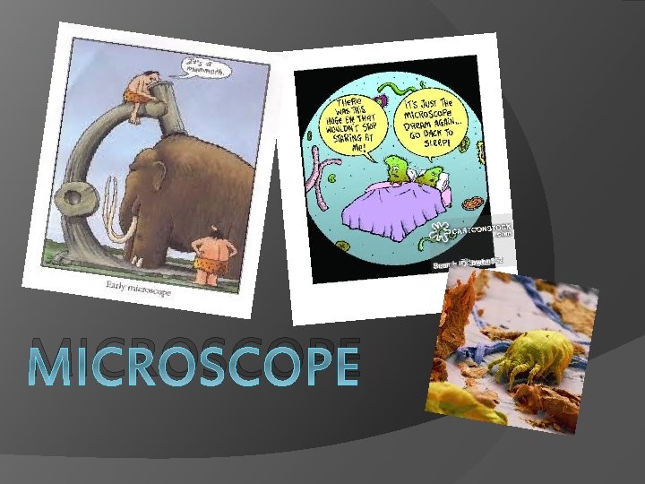 MICROSCOPE 