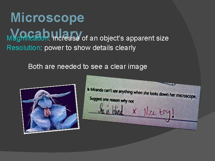 Microscope Vocabulary Magnification: increase of an object’s apparent size Resolution: power to show details