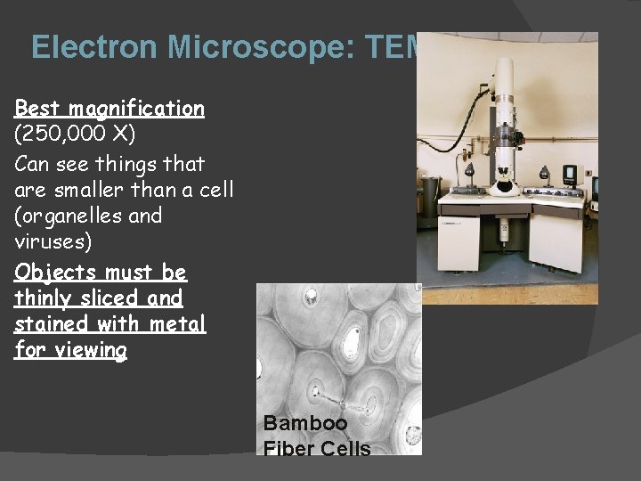 Electron Microscope: TEM Best magnification (250, 000 X) Can see things that are smaller