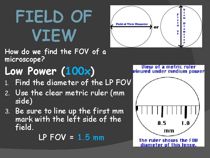 FIELD OF VIEW How do we find the FOV of a microscope? Low Power