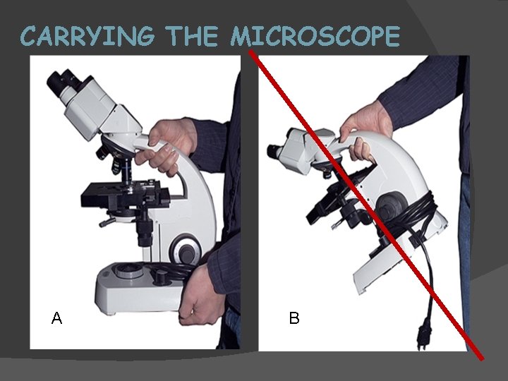 CARRYING THE MICROSCOPE A B 