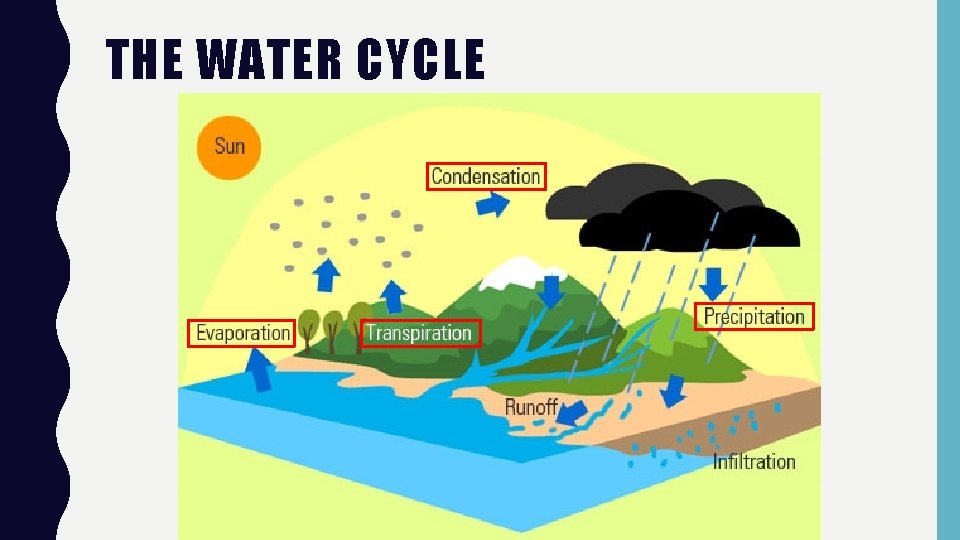 THE WATER CYCLE 