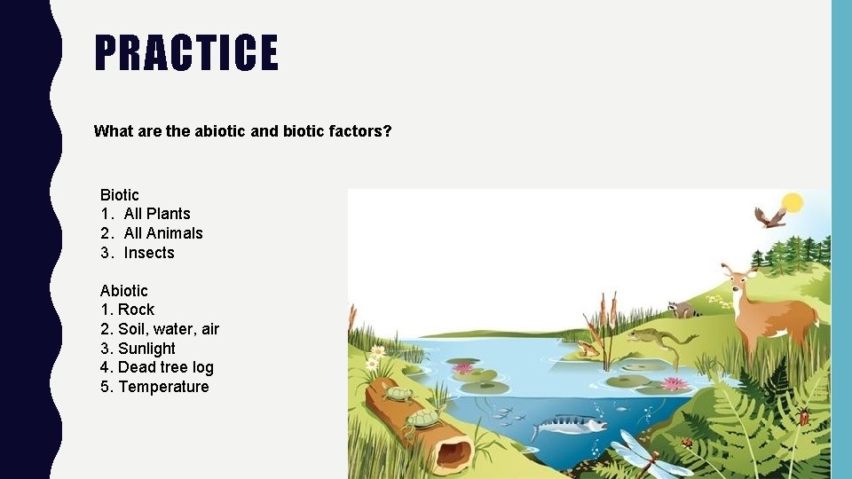 PRACTICE What are the abiotic and biotic factors? Biotic 1. All Plants 2. All