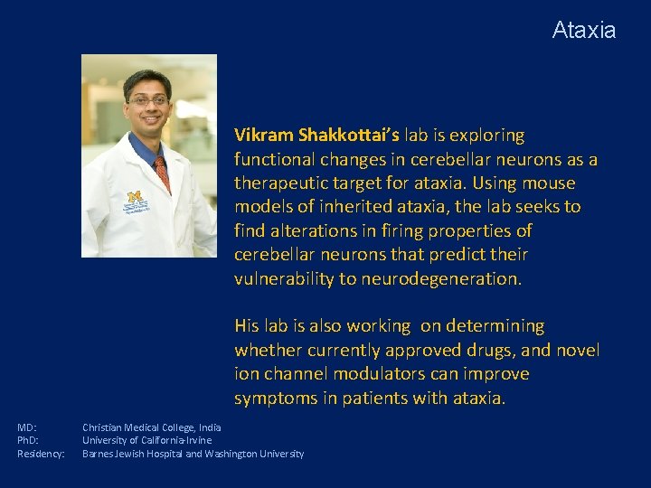 Ataxia Vikram Shakkottai’s lab is exploring functional changes in cerebellar neurons as a therapeutic