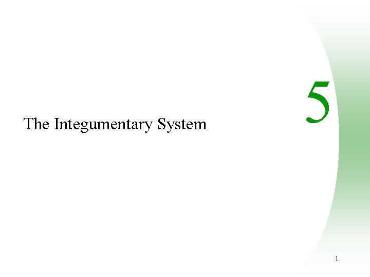 The Integumentary System 5 1 