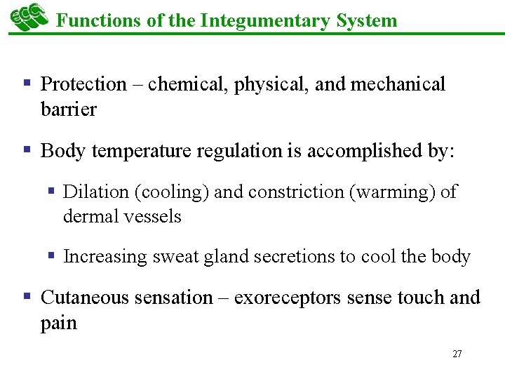 Functions of the Integumentary System § Protection – chemical, physical, and mechanical barrier §