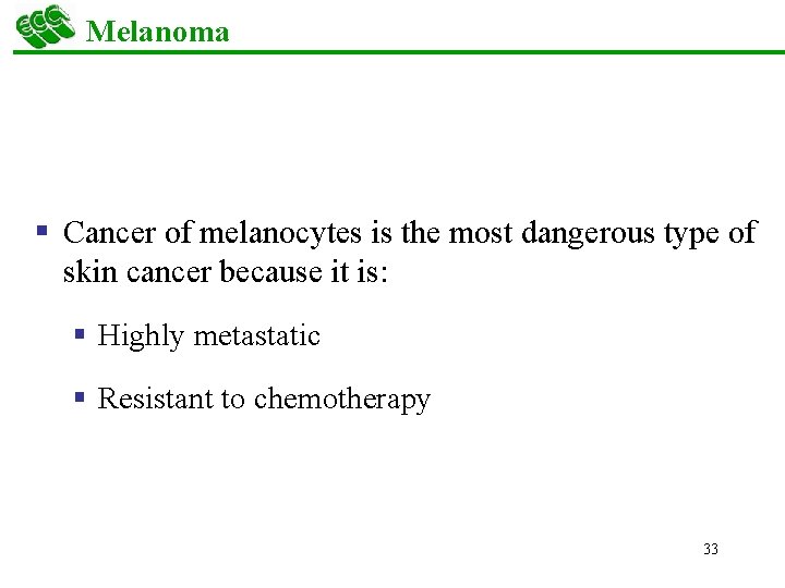 Melanoma § Cancer of melanocytes is the most dangerous type of skin cancer because