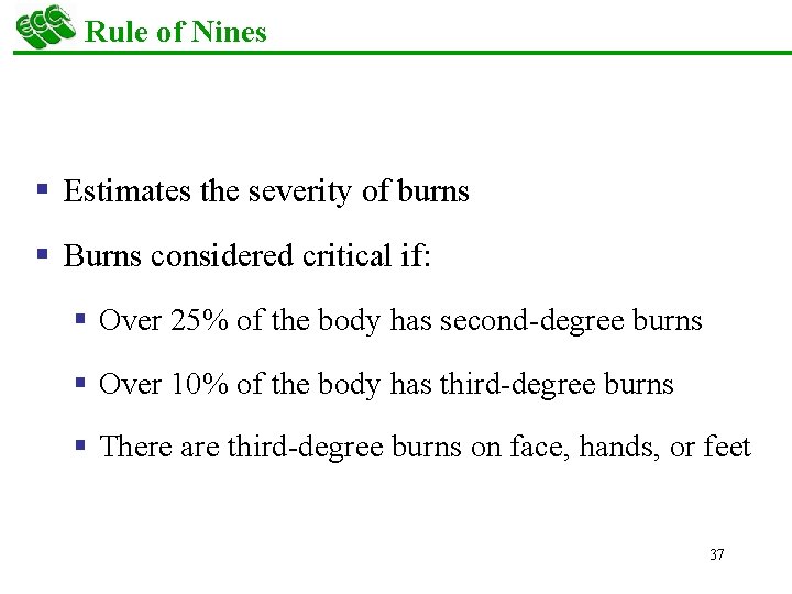 Rule of Nines § Estimates the severity of burns § Burns considered critical if: