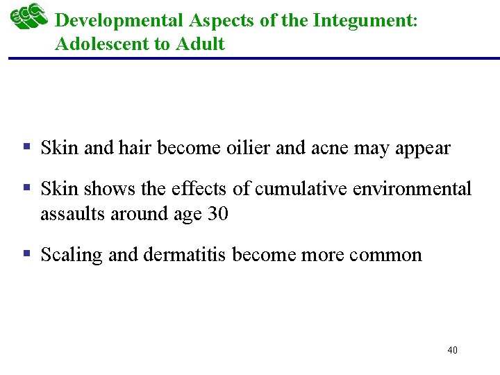 Developmental Aspects of the Integument: Adolescent to Adult § Skin and hair become oilier