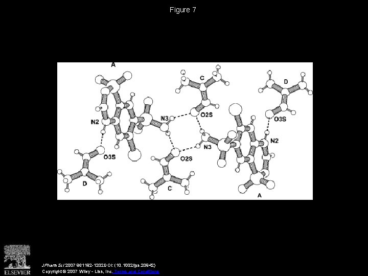 Figure 7 JPharm. Sci 2007 961192 -1202 DOI: (10. 1002/jps. 20942) Copyright © 2007