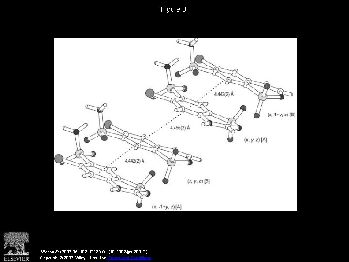 Figure 8 JPharm. Sci 2007 961192 -1202 DOI: (10. 1002/jps. 20942) Copyright © 2007