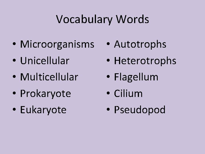 Vocabulary Words • • • Microorganisms Unicellular Multicellular Prokaryote Eukaryote • • • Autotrophs