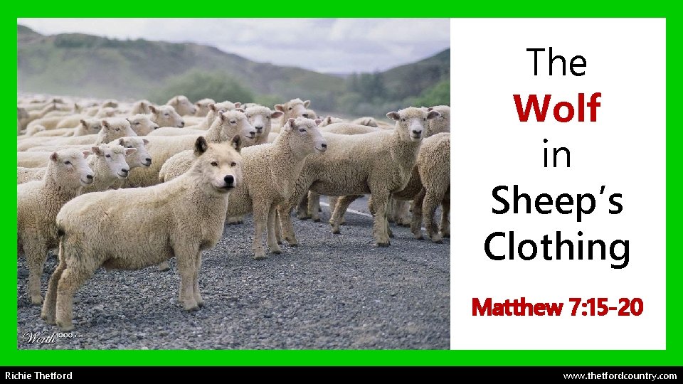 The Wolf in Sheep’s Clothing Matthew 7: 15 -20 Richie Thetford www. thetfordcountry. com