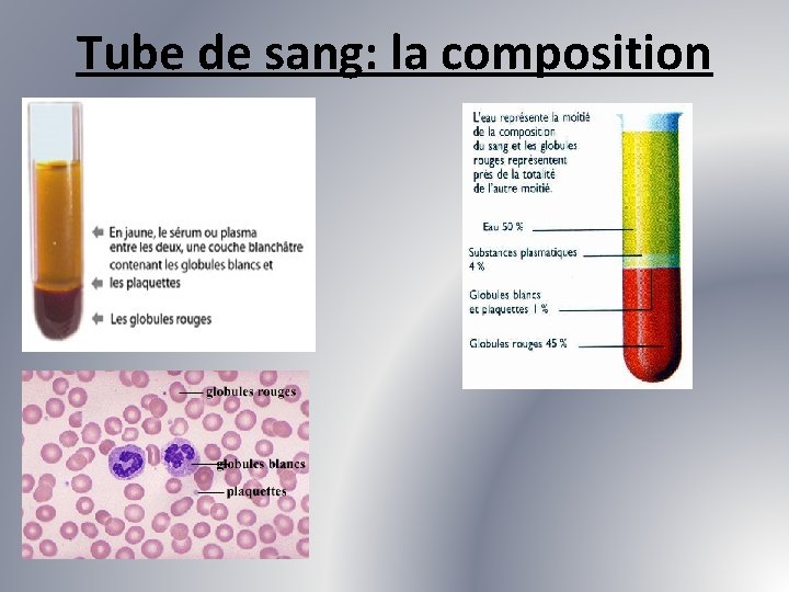 Tube de sang: la composition 