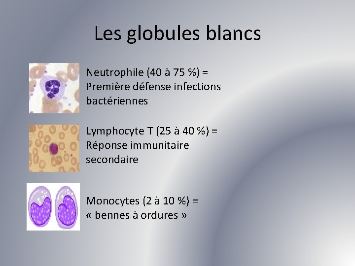 Les globules blancs Neutrophile (40 à 75 %) = Première défense infections bactériennes Lymphocyte