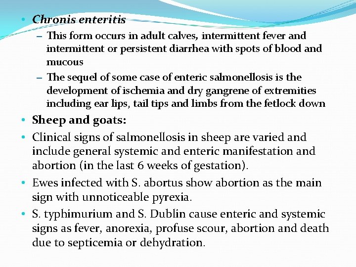  • Chronis enteritis – This form occurs in adult calves, intermittent fever and