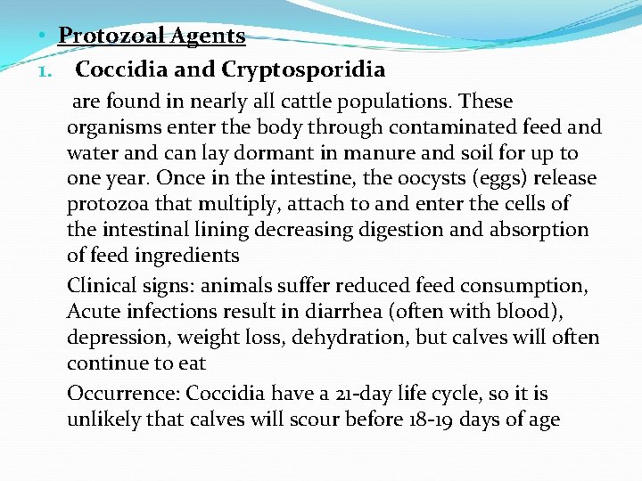  • Protozoal Agents 1. Coccidia and Cryptosporidia are found in nearly all cattle