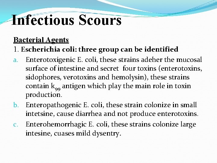 Infectious Scours Bacterial Agents 1. Escherichia coli: three group can be identified Enterotoxigenic E.