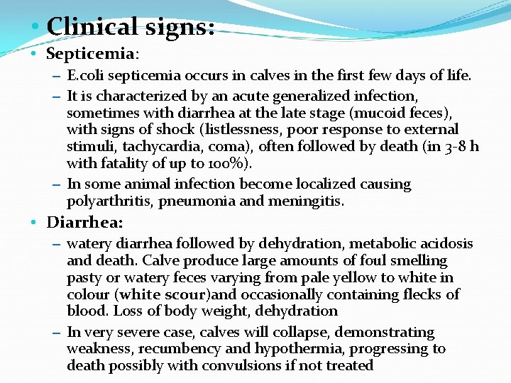  • Clinical signs: • Septicemia: – E. coli septicemia occurs in calves in