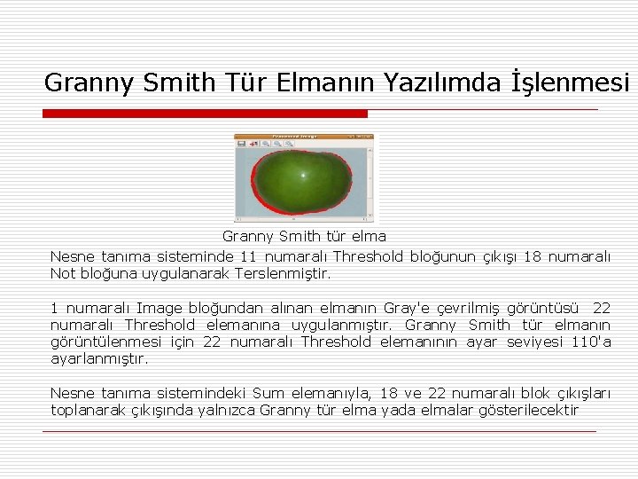 Granny Smith Tür Elmanın Yazılımda İşlenmesi Granny Smith tür elma Nesne tanıma sisteminde 11