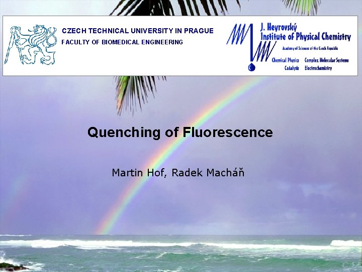 CZECH TECHNICAL UNIVERSITY IN PRAGUE FACULTY OF BIOMEDICAL ENGINEERING Quenching of Fluorescence Martin Hof,
