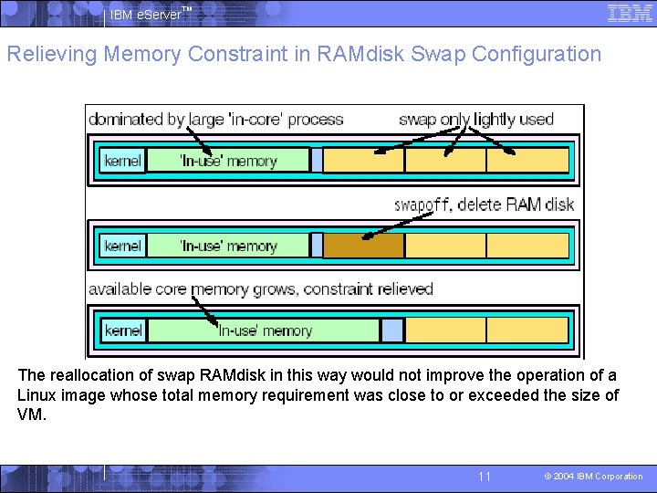 IBM e Server Linux on z Series Module