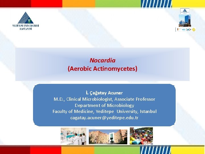 Nocardia (Aerobic Actinomycetes) İ. Çağatay Acuner M. D. , Clinical Microbiologist, Associate Professor Department