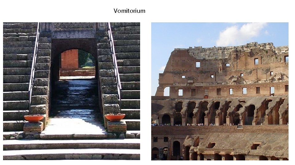 Vomitorium 