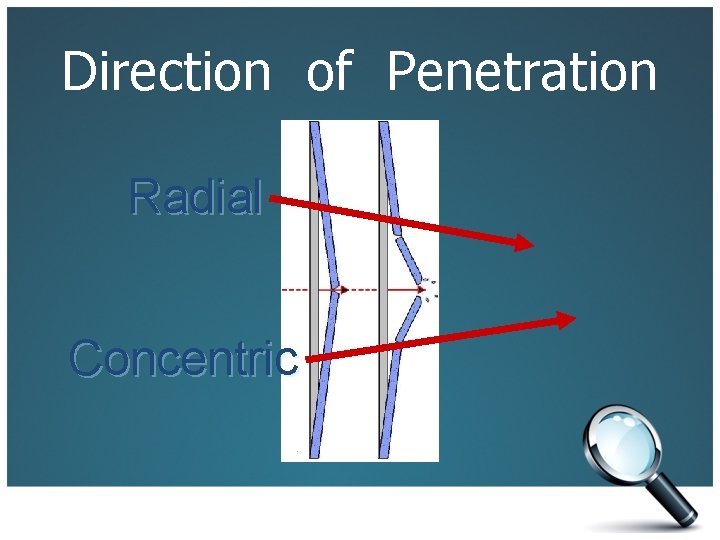 Direction of Penetration Radial Concentric bsapp. com 