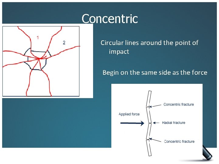 Concentric Circular lines around the point of impact Begin on the same side as