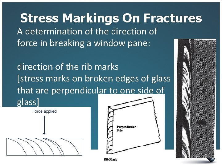 Stress Markings On Fractures A determination of the direction of force in breaking a
