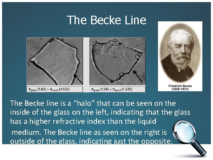 The Becke Line The Becke line is a “halo” that can be seen on