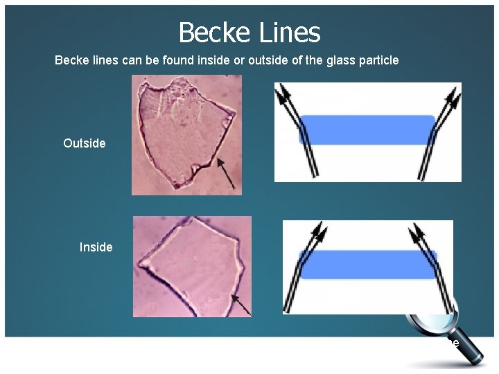 Becke Lines Becke lines can be found inside or outside of the glass particle