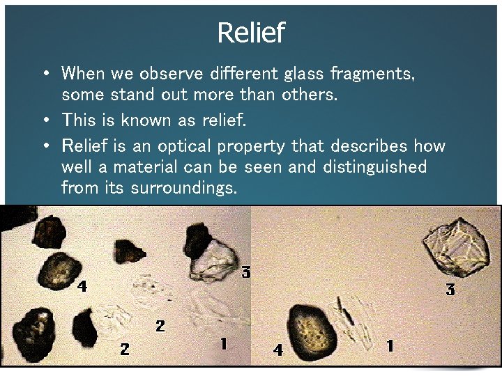 Relief • When we observe different glass fragments, some stand out more than others.