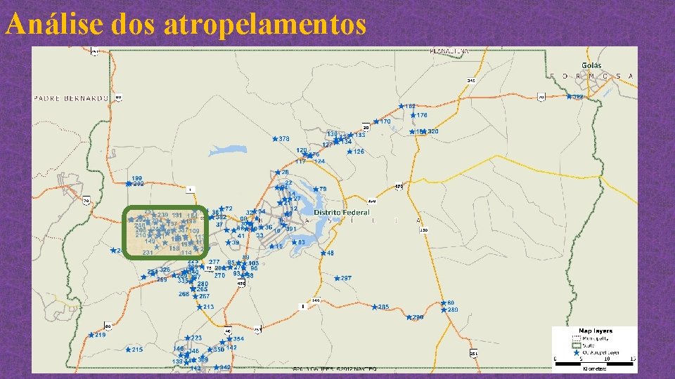 Análise dos atropelamentos 