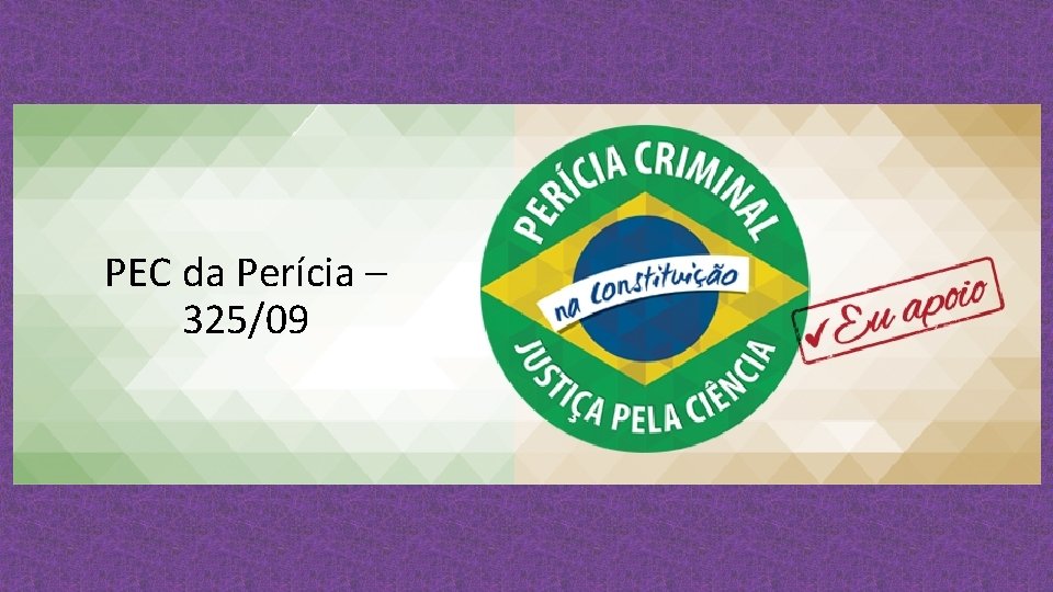 PEC da Perícia – 325/09 