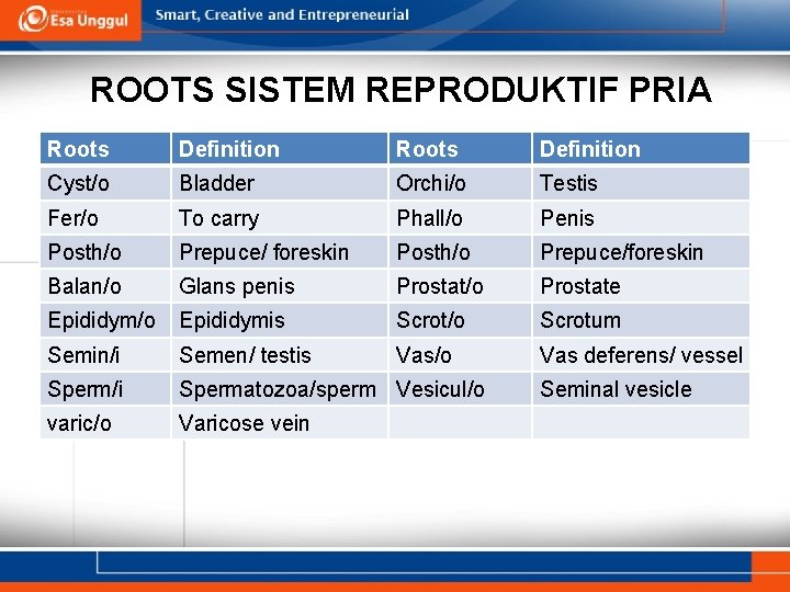 ROOTS SISTEM REPRODUKTIF PRIA Roots Definition Cyst/o Bladder Orchi/o Testis Fer/o To carry Phall/o