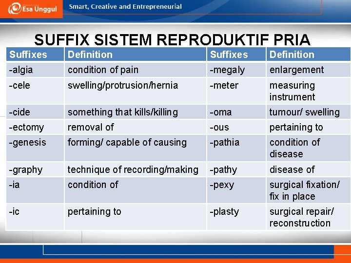 SUFFIX SISTEM REPRODUKTIF PRIA Suffixes Definition -algia condition of pain -megaly enlargement -cele swelling/protrusion/hernia
