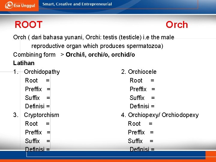ROOT Orch ( dari bahasa yunani, Orchi: testis (testicle) i. e the male reproductive