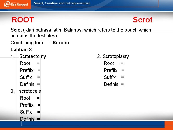 ROOT Scrot ( dari bahasa latin, Balanos: which refers to the pouch which contains