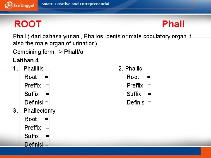 ROOT Phall ( dari bahasa yunani, Phallos: penis or male copulatory organ. it also