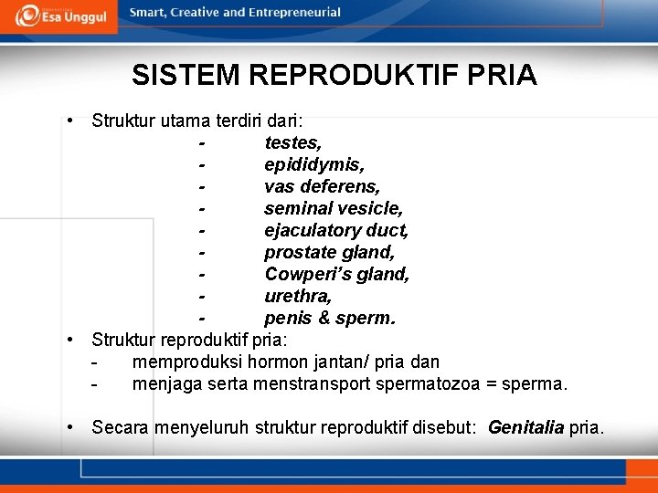 SISTEM REPRODUKTIF PRIA • Struktur utama terdiri dari: testes, epididymis, vas deferens, seminal vesicle,