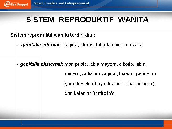 SISTEM REPRODUKTIF WANITA Sistem reproduktif wanita terdiri dari: - genitalia internal: vagina, uterus, tuba