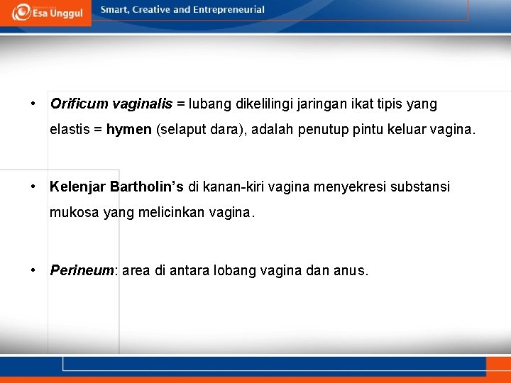  • Orificum vaginalis = lubang dikelilingi jaringan ikat tipis yang elastis = hymen