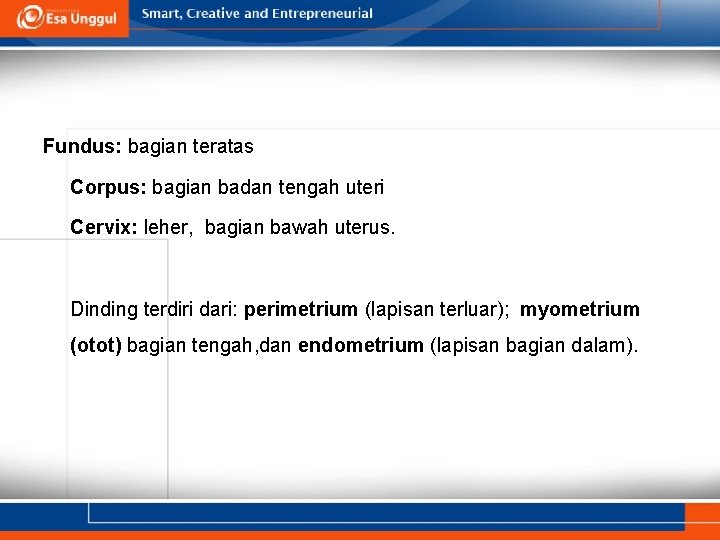 Fundus: bagian teratas Corpus: bagian badan tengah uteri Cervix: leher, bagian bawah uterus. Dinding