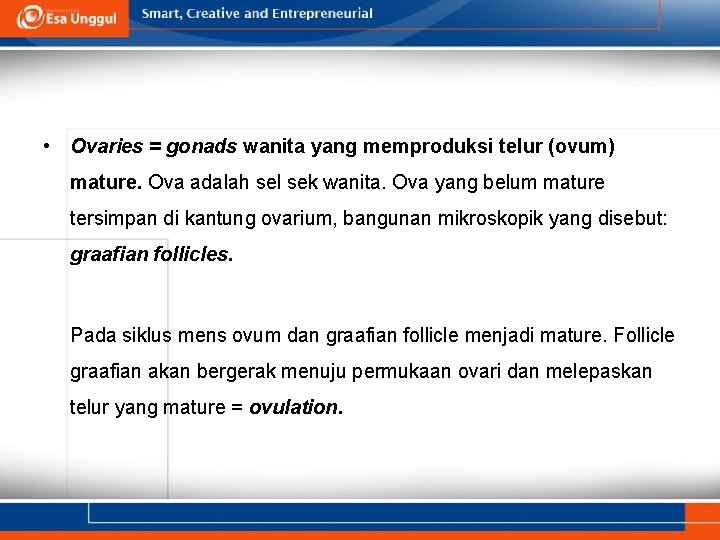  • Ovaries = gonads wanita yang memproduksi telur (ovum) mature. Ova adalah sel