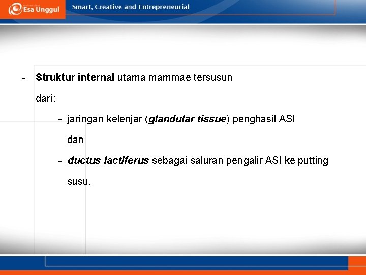 - Struktur internal utama mammae tersusun dari: - jaringan kelenjar (glandular tissue) penghasil ASI