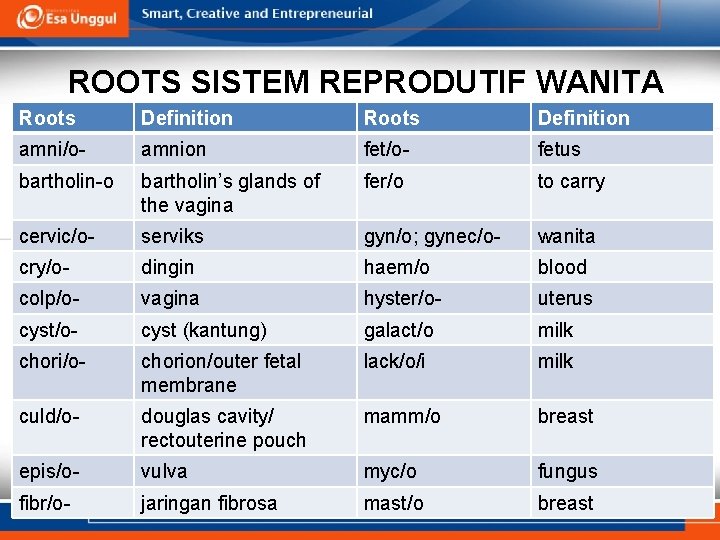 ROOTS SISTEM REPRODUTIF WANITA Roots Definition amni/o- amnion fet/o- fetus bartholin-o bartholin’s glands of